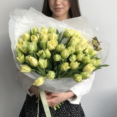 51 ПИОНОВИДНЫХ ТЮЛЬПАНОВ